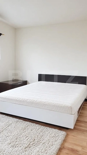 Apartament 3 camere, 65 mp, zona Take Ionescu - imagine 3