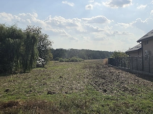 De vânzare teren intravilan 6.100 m2   Lipia (Gruiu)  Deschidere 22 m | Lângă pădure, utilități - imagine 3