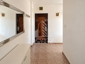 Apartament de vanzare cu 1 camera, Bloc izolat, zona Sagului - imagine 4