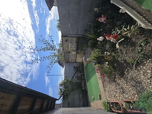 Casă Parter +Pod depozitare, 3 Camere, Strada Migdalilor, Pantelimon  - imagine 20