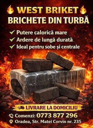 Brichete din rumegus
