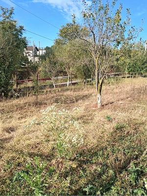 Teren intravilan-750 mp-com. Cocorastii-Mislii (Prahova)-la 18 km de Ploiesti - imagine 4