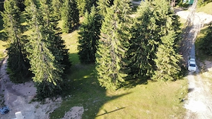 Teren intravilan in Vârtop langa partia de ski