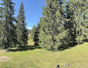 Teren intravilan in Vârtop langa partia de ski - imagine 2