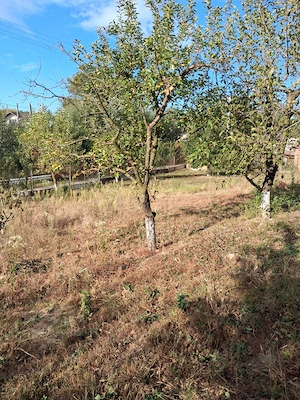 Teren intravilan-750 mp-comuna Cocorastii-Mislii (Prahov)-la 18 km de Ploiesti - imagine 9