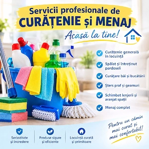 Curatenie 
