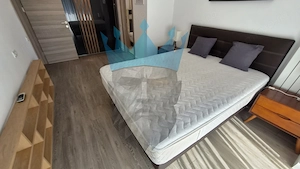  Apartament 2 Camere Piata Victoriei Bucuresti - imagine 14