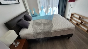  Apartament 2 Camere Piata Victoriei Bucuresti - imagine 15