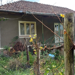 Casa si gradina - imagine 3