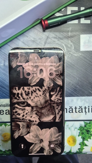 display iphone 12pro max 