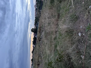 Teren de vânzare în Slobozia  - imagine 7
