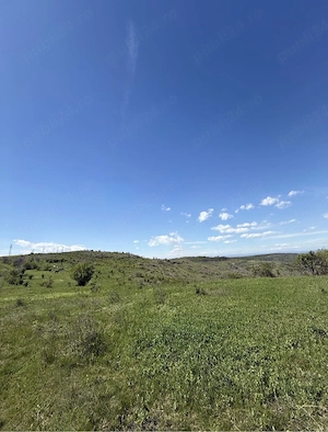11,6 hectare de teren extravilan+intravilan, Urlati Valea Calugareasca-Zona: releu Valea Mieilor - imagine 6