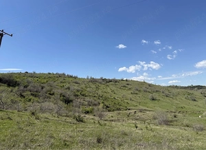11,6 hectare de teren extravilan+intravilan, Urlati Valea Calugareasca-Zona: releu Valea Mieilor - imagine 10