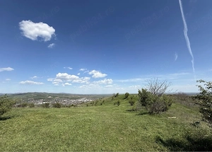 11,6 hectare de teren extravilan+intravilan, Urlati Valea Calugareasca-Zona: releu Valea Mieilor - imagine 2