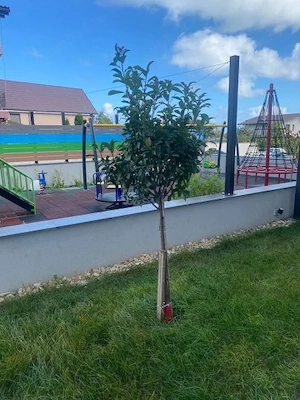 Garsoniera decomandata zona Tomis  plus Constanța  - imagine 7
