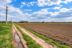 Teren intravilan de vânzare   5.663 mp   oșorhei, bihor | 125.000   negociabil - imagine 2