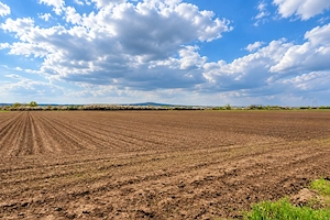 Teren intravilan de vânzare   5.663 mp   oșorhei, bihor | 125.000   negociabil - imagine 4
