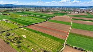 Teren intravilan de vânzare   5.663 mp   oșorhei, bihor | 125.000   negociabil - imagine 3