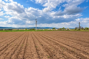 Teren intravilan de vânzare   5.663 mp   oșorhei, bihor | 125.000   negociabil - imagine 5