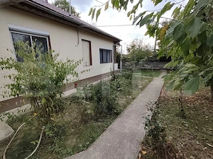 2 CASE + 6.000 MP TEREN + PĂDURE | Bilciurești, Dâmbovița - imagine 5