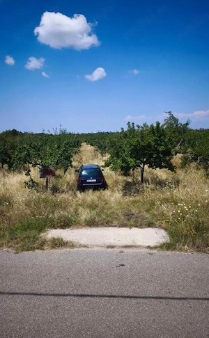 9177 MP LA ASFALT | 1767 mp intravilan + livadă Stanley pe rod | Ceretu, Dănicei,jud. Vâlcea  - imagine 3