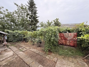 Casă veche, două corpuri, 85mp, teren 1.308 mp, zona Preajba - imagine 6