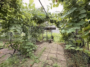 Casă veche, două corpuri, 85mp, teren 1.308 mp, zona Preajba - imagine 7