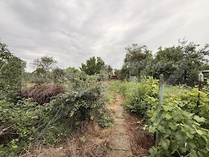 Casă veche, două corpuri, 85mp, teren 1.308 mp, zona Preajba - imagine 10