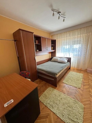 INEL 2 -DEZROBIRII 3 CAMERE - imagine 5