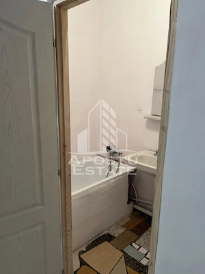 Apartament cu 1 camera de vanzare , etaj intermediar, Blascovici - imagine 5