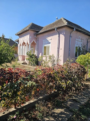 Casă mobilată + 3.000 mp teren | 55 m front | 1 km de Dunăre   Rast, Dolj - imagine 4