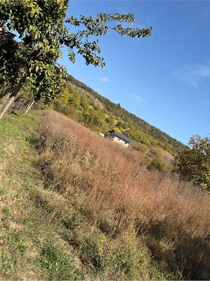 Vând Teren 2100 mp - Lerodeni, Argeș (1703mp intravilan, 397mp extravilan)