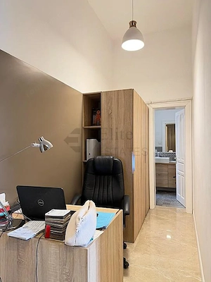 Birou ultracentral Palatul Rimanoczy | pietonala Republicii - imagine 11