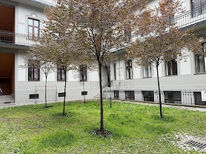 Birou ultracentral Palatul Rimanoczy | pietonala Republicii - imagine 13