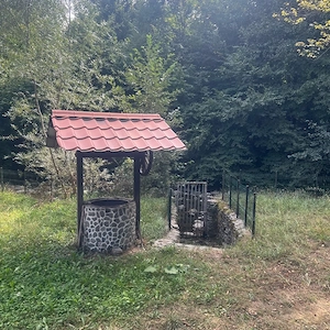 vand casa de vacanta pe Valea Avrigului - imagine 3