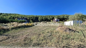 Teren 2090 mp Stefanesti-Rebreanu zona superba - imagine 4