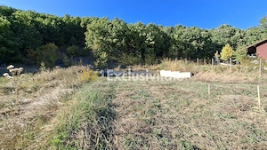 Teren 2090 mp Stefanesti-Rebreanu zona superba - imagine 5