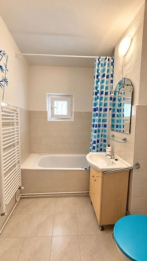 Comision 0% Apartament la parter cu spațiu comercial Calea Aradului - imagine 5
