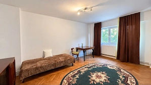 Comision 0% Apartament la parter cu spațiu comercial Calea Aradului - imagine 2