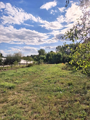 Proprietate cu acces direct la Lacul Snagov | Teren 1.842 mp - imagine 4