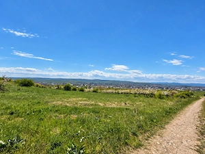 Teren intravialan 8.900 m  | Iris, Cluj-Napoca | 50   m  - imagine 3