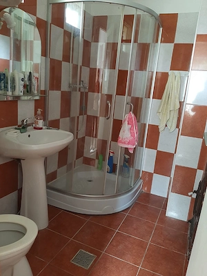 Casa bătrânească de vânzare Viisoara - imagine 2