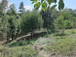 Casa bătrânească de vânzare Viisoara - imagine 3