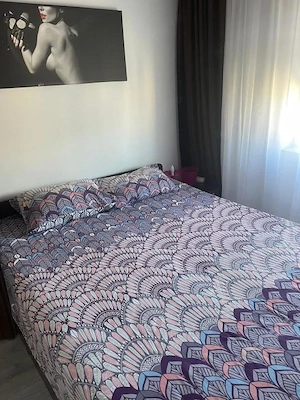 Apartament 2 camere, Modern, Narcisa - imagine 3
