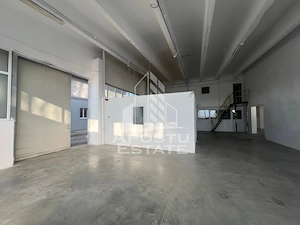 Hala industriala 1100 mp de închiriat – Freidorf - imagine 3