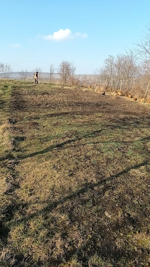 Casa cu anexa, gradina si teren extravilan Vulturesti, Jud Suceava - imagine 4