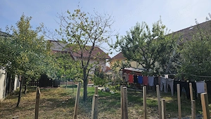 Casă de vânzare, zona Ciarda Rosie - imagine 8