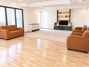 Spațiu comercial 233 mp de închiriat – Str. Vasile Lupu - imagine 2