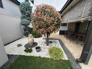O casa cu personalitate - imagine 2