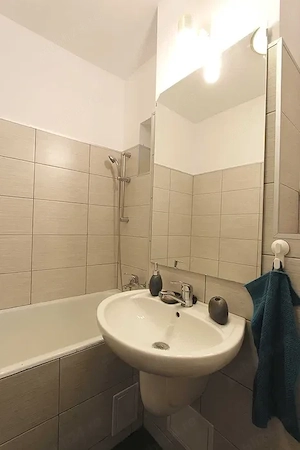 garsoniera baba novac-campia libertatii-modern - imagine 6